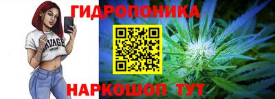 Альфа ПВП Обь