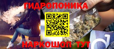 Альфа ПВП Обь