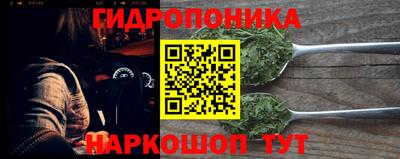 Альфа ПВП Обь