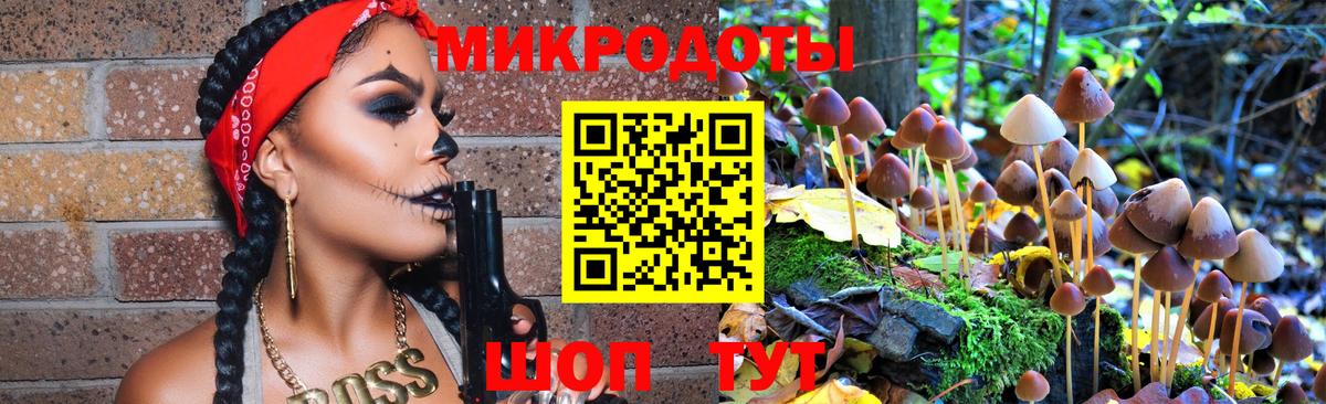 Дальнегорск  Галлюциногенные грибы GOLDEN TEACHER  Вход с VPN  Псилоцибиновые грибы Psilocybe 