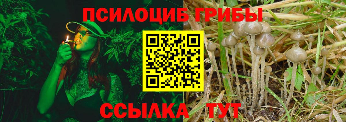 Псилоцибиновые грибы MAGIC MUSHROOMS Дальнегорск